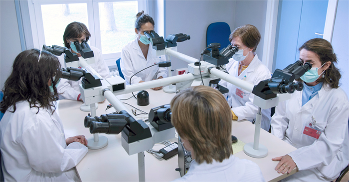 Profesionales del servicio de Anatomía Patológica analizan al microscopio varias muestras en el Seminario de la sede A