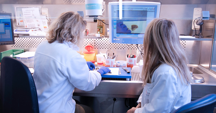 Dos profesionales sanitarias analizan una muestra en el laboratorio de macroscopía en la sede B
